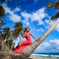 Отзыв от Аврора - DTV виза